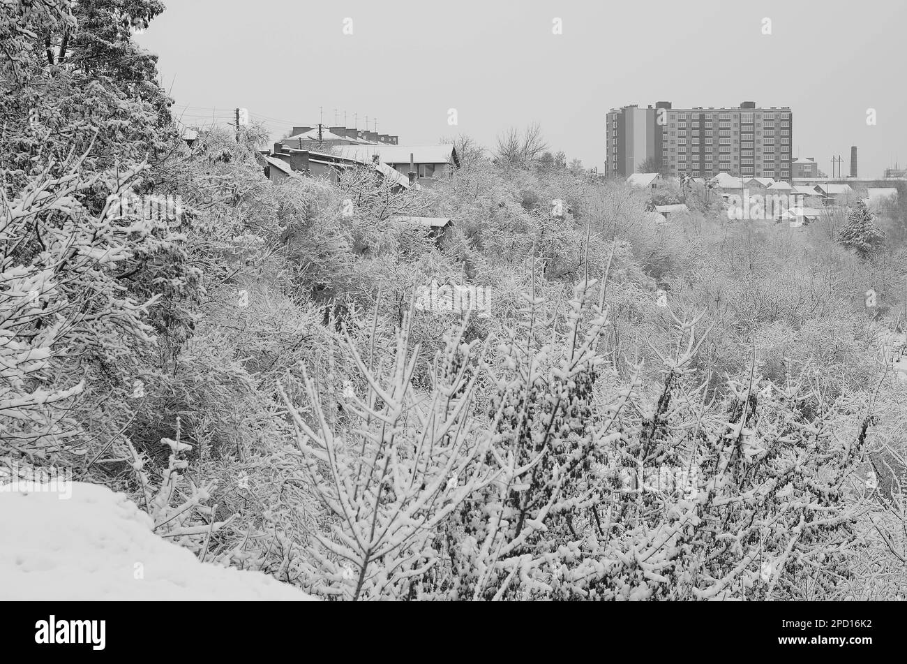 neve paesaggio inverno. Foto Stock