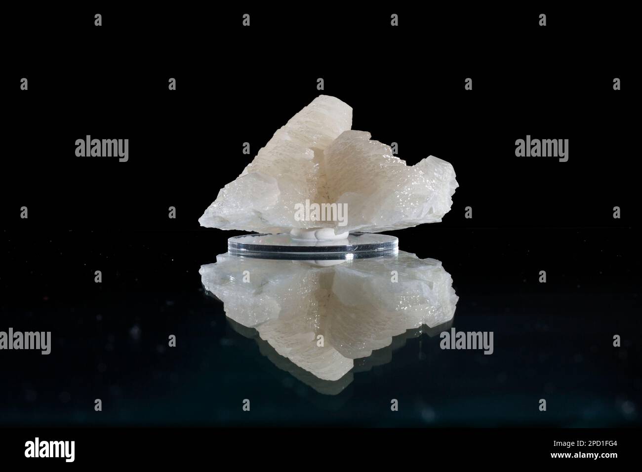 Calcit in bianco, un minerale comune su sfondo nero. Foto Stock