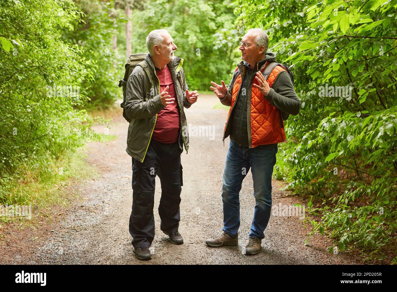 Gli amici maschi anziani che parlano mentre camminano tra le piante nella foresta durante le vacanze Foto Stock