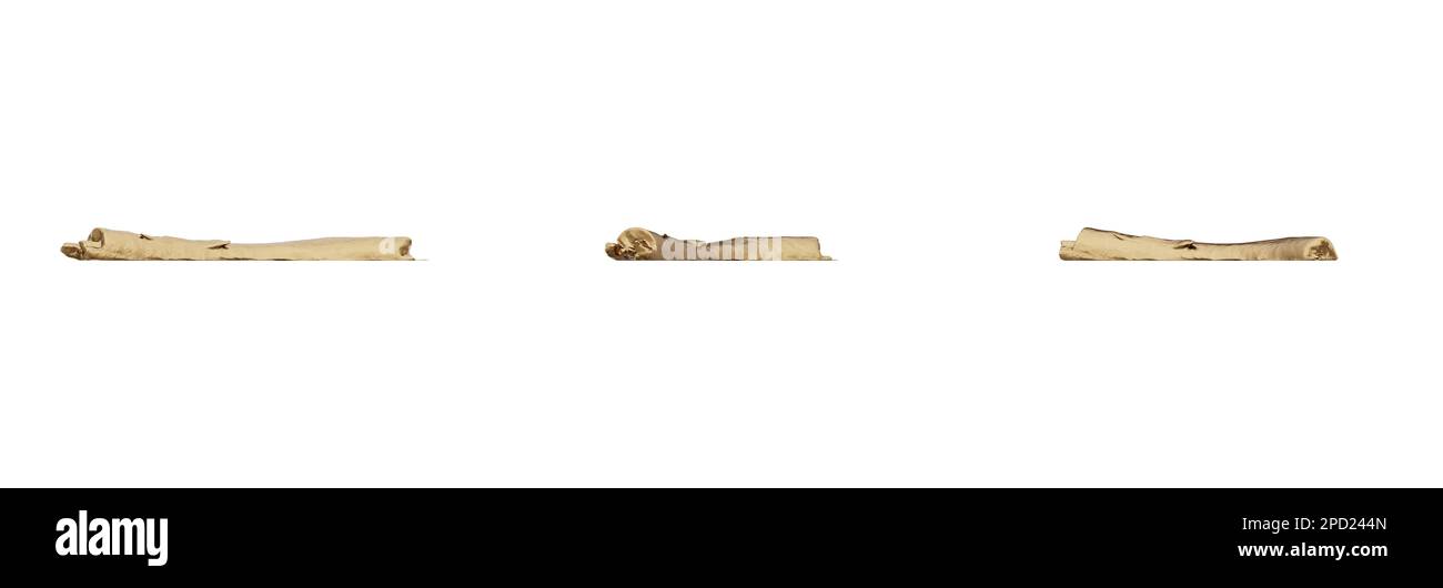 Questi magnifici componenti in legno duro con rendering 3D aggiungono un tocco di natura e raffinatezza alle tue creazioni digitali. Questi JPG di alta qualità Foto Stock