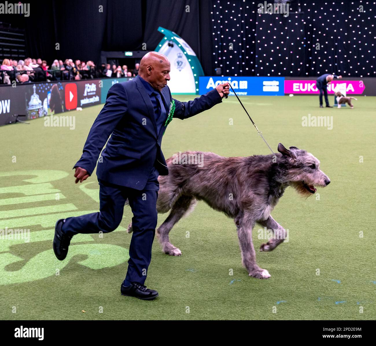 Parigi l'irlandese Wolfhound di proprietà del cantante Real Thing Chris Amoo è il vincitore del titolo del gruppo Hound al Crufts 2023 Foto Stock