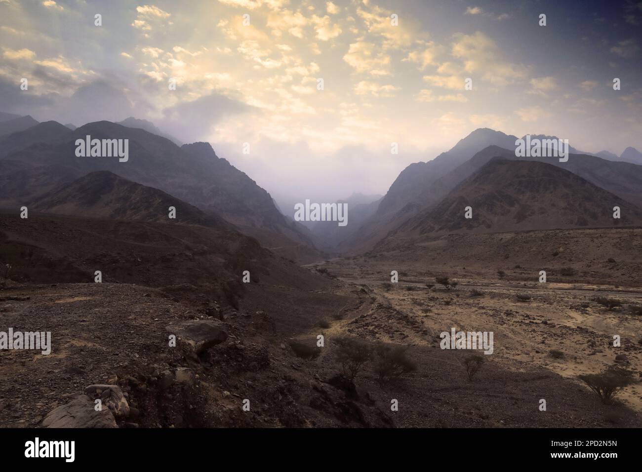 Colori dell'alba a Wadi Barwas, deserto di Wadi Araba, Giordania centro-meridionale, Medio Oriente Foto Stock