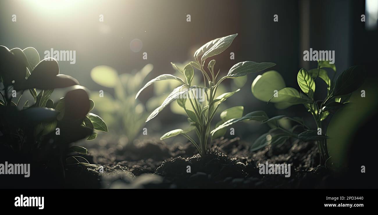Illustrazione generata dall'intelligenza artificiale di piante in una serra con foglie verdi vibranti Foto Stock