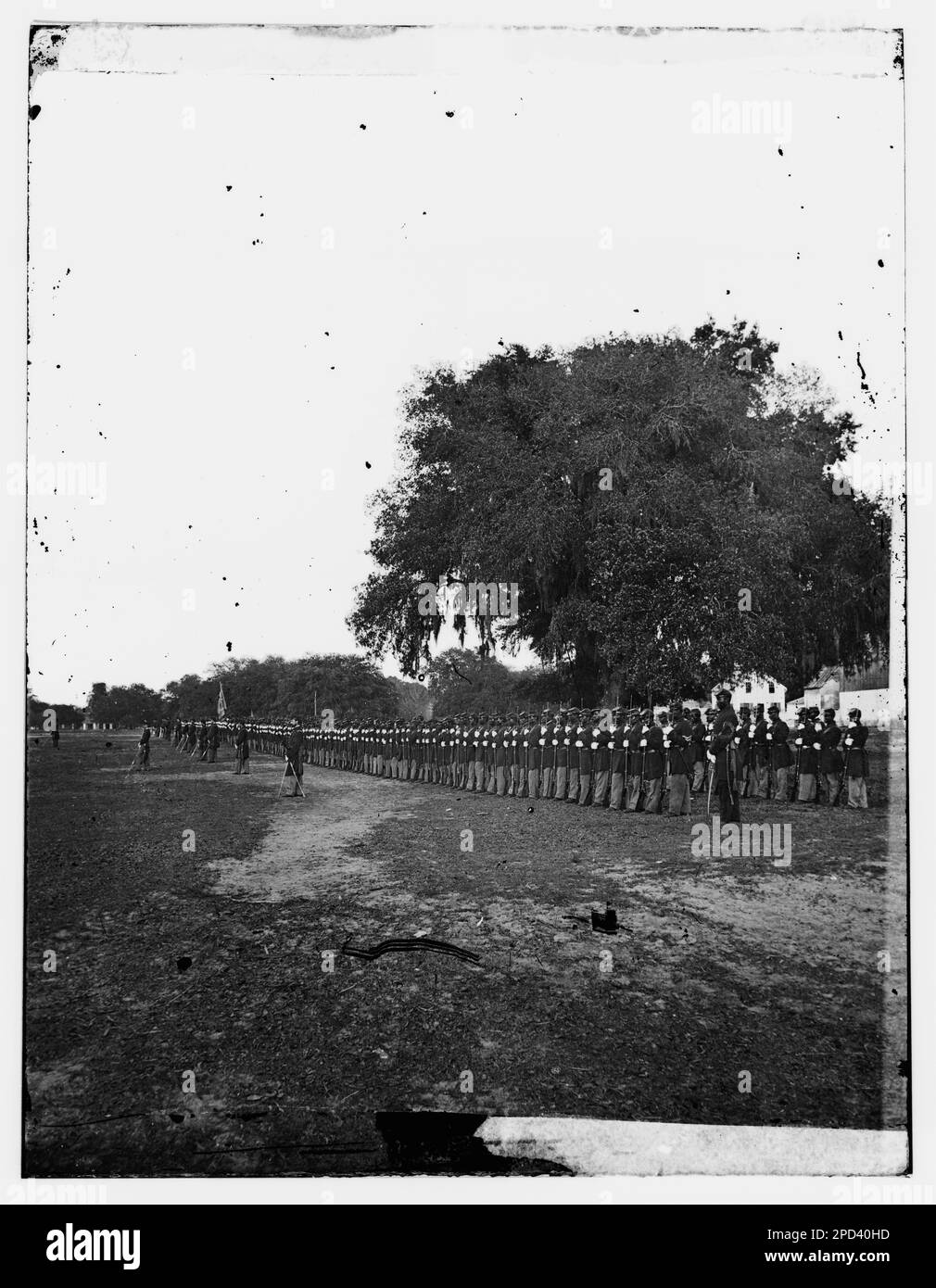 Beaufort, South Carolina. 29th Regiment dal Connecticut. Fotografie della guerra civile, 1861-1865 . Afroamericani, 1860-1870, Stati Uniti, Storia, Guerra civile, 1861-1865. Foto Stock