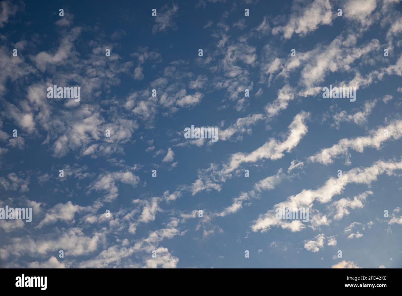 sfondo cielo blu con nuvole. Bellissimo tramonto cielo sopra le nuvole con luce drammatica. Nuvole soffici al tramonto. Foto di alta qualità Foto Stock