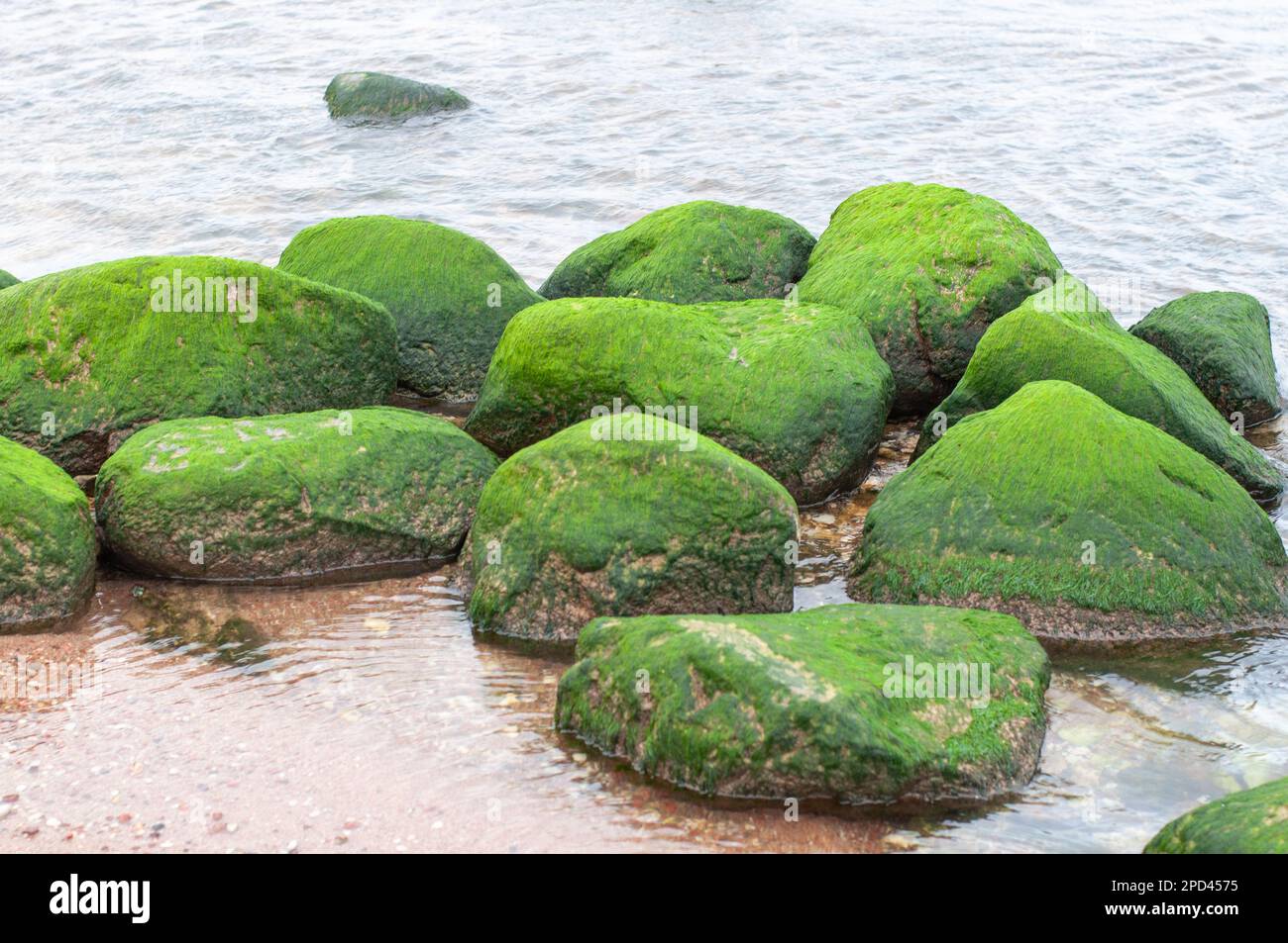 Immagini Stock - L'acqua Di Mare È Avere Colore Verde.. Image 18308101