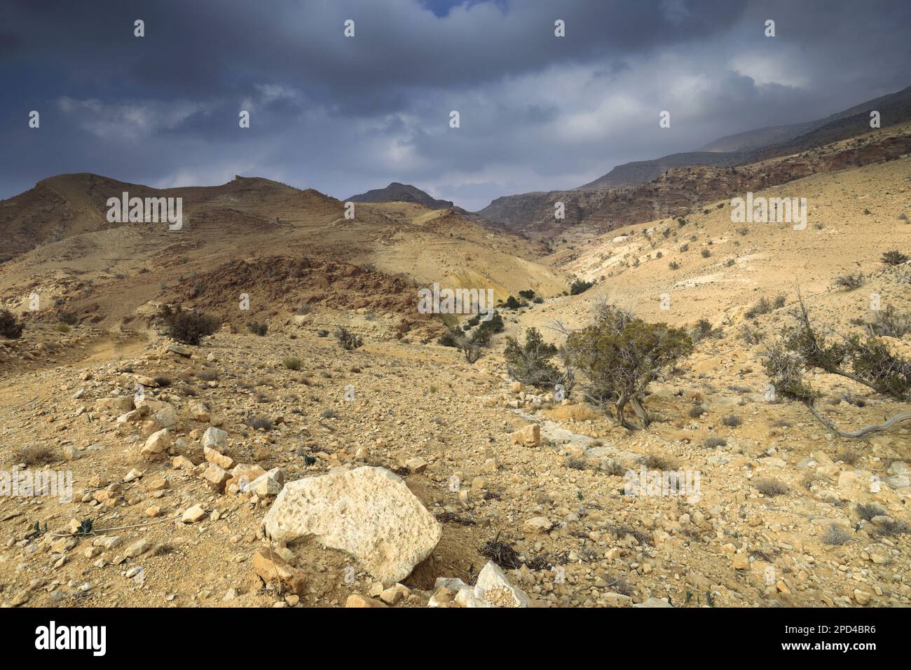 Vista sul paesaggio di arenaria di Reis al Fied, Wadi Feid, Giordania, Medio Oriente Foto Stock