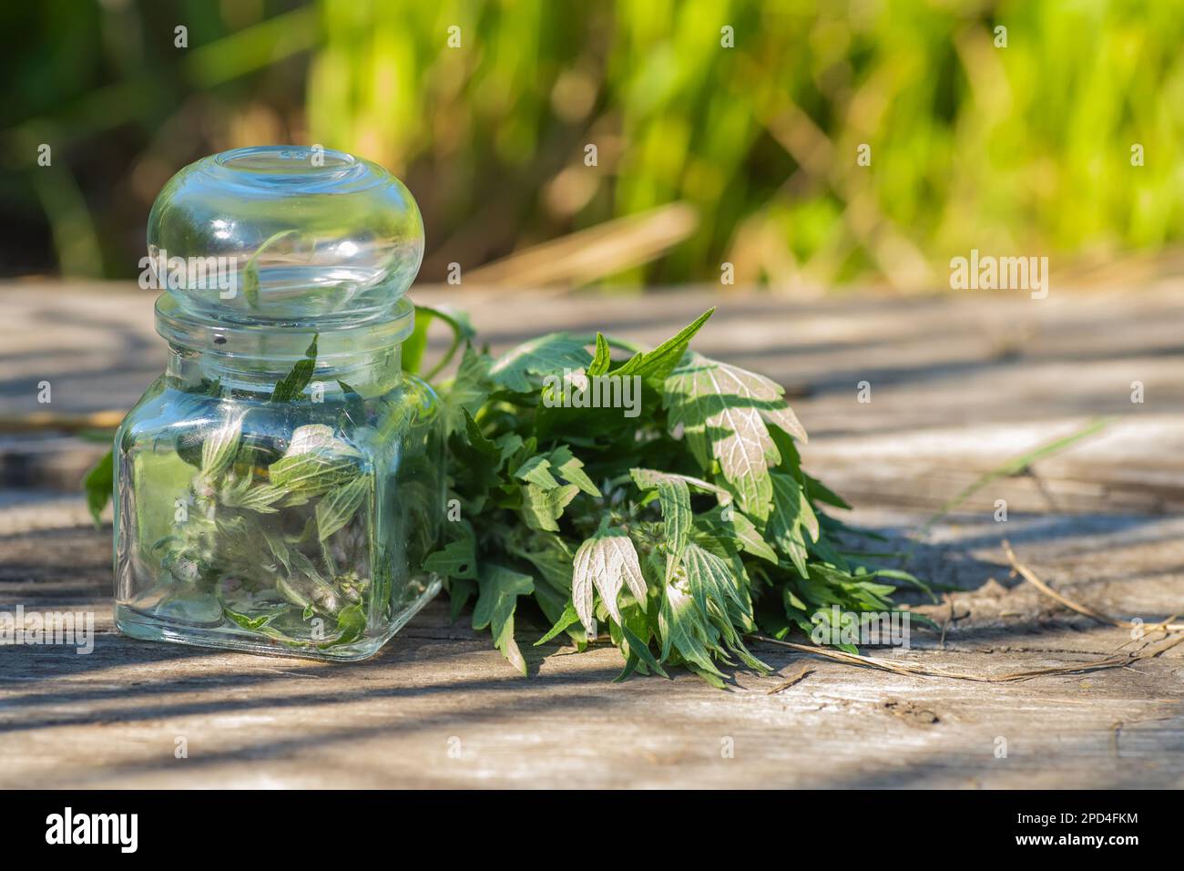 18 Mosche Da Pesca In Tungsteno - Senza Ardiglione, Per Trota, Misure 10/12