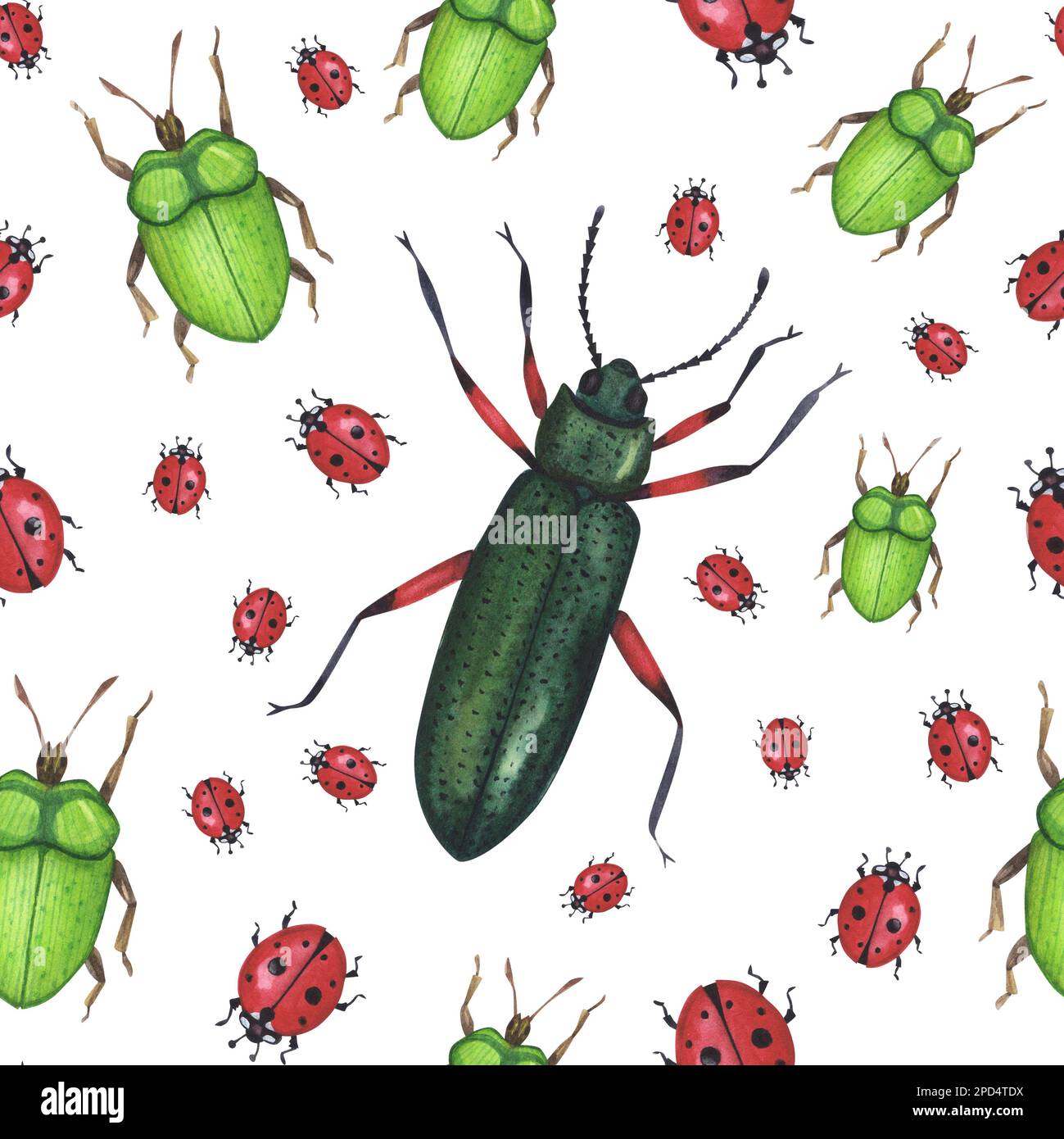 SSeamless modello realista insetti coleotteri isolato su sfondo bianco. Acquerello disegnati a mano insetti animali coleoptera llustration per banner di design, p Foto Stock