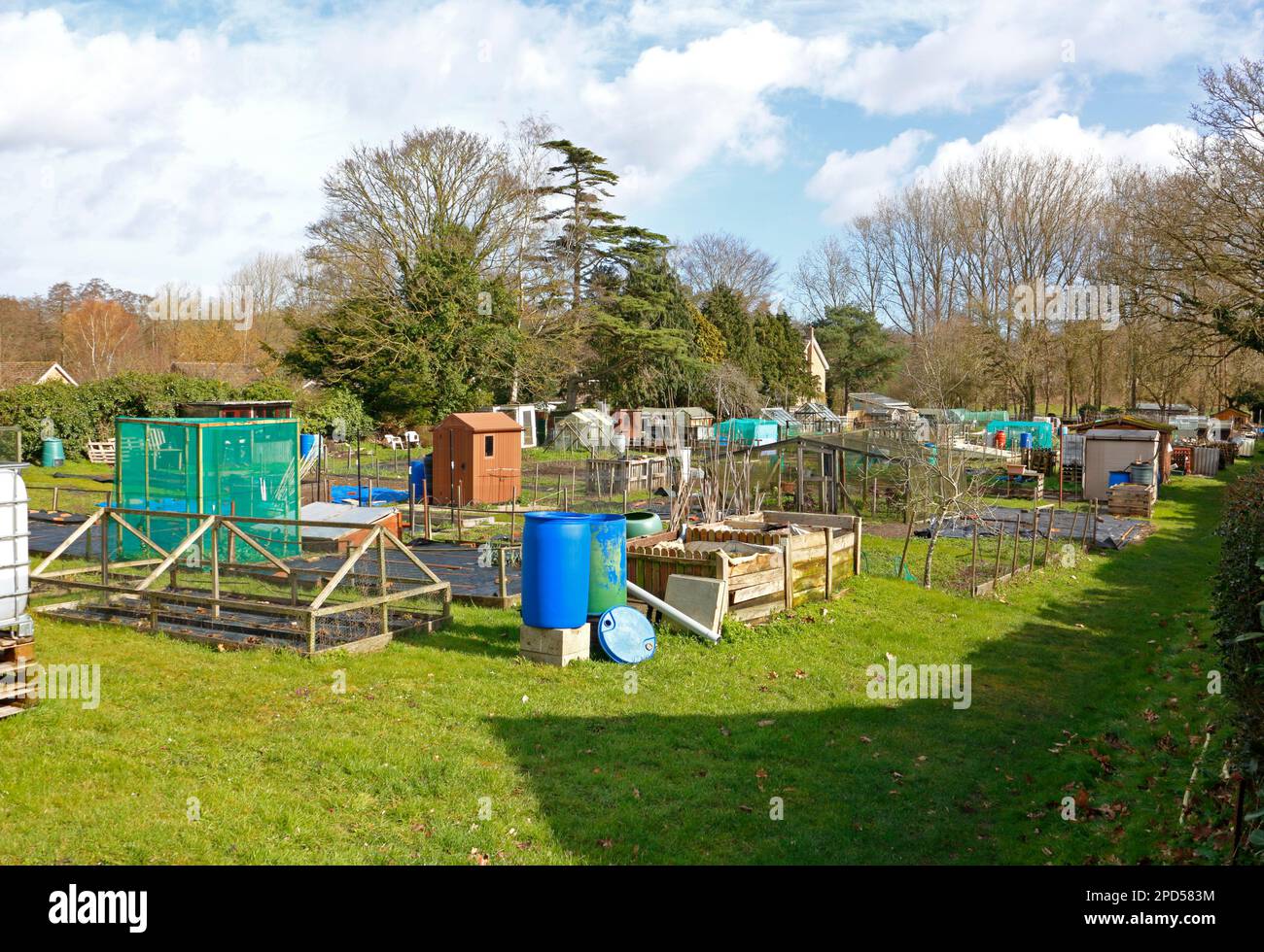 Una vista dei giardini comunitari e delle assegnazioni nel villaggio di campagna di Norfolk di Horstead, Norfolk, Inghilterra, Regno Unito. Foto Stock