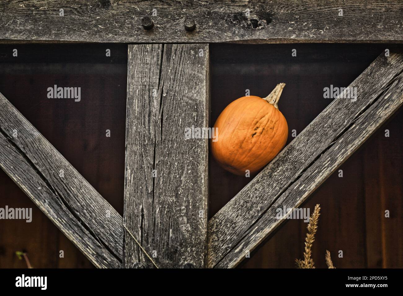 Una zucca di Halloween che riposa confortevolmente in mezzo a travi molto pesanti che sostengono un paese nato Foto Stock