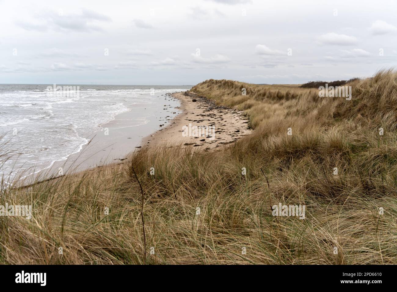 Vista sulle dune, la spiaggia e il mare in inverno, a basso Hauxley, vicino a amble, Northumberland, Regno Unito Foto Stock