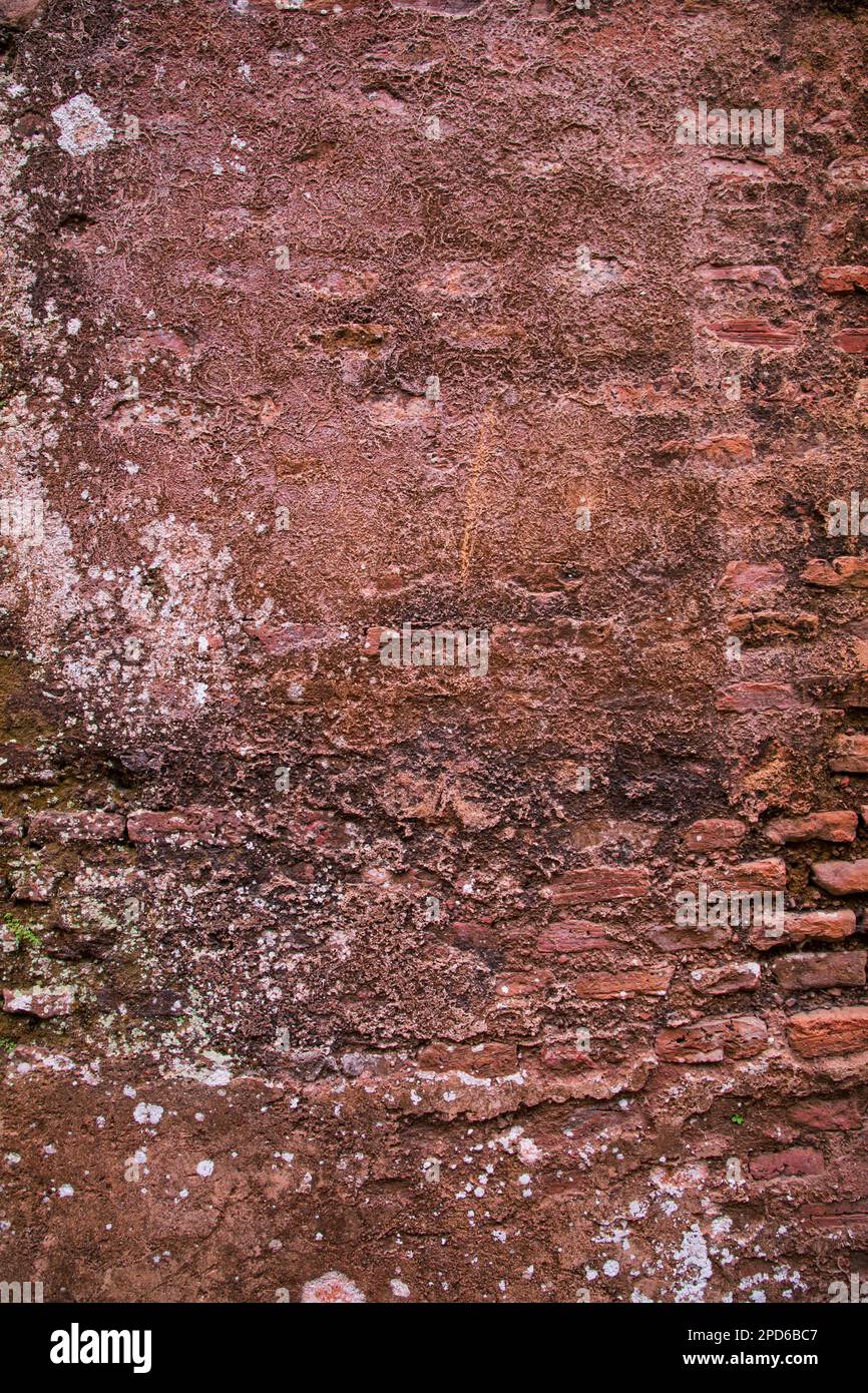 Edificio storico vecchie mura con muschio e lichene. Vecchio muro di mattoni struttura astratta sfondo Foto Stock