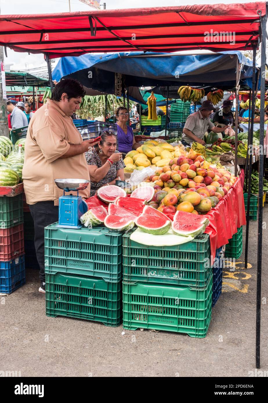 Uomo che guarda il suo cellulare alla sua bancarella di frutta in un mercato agricolo in Costa Rica. Foto Stock