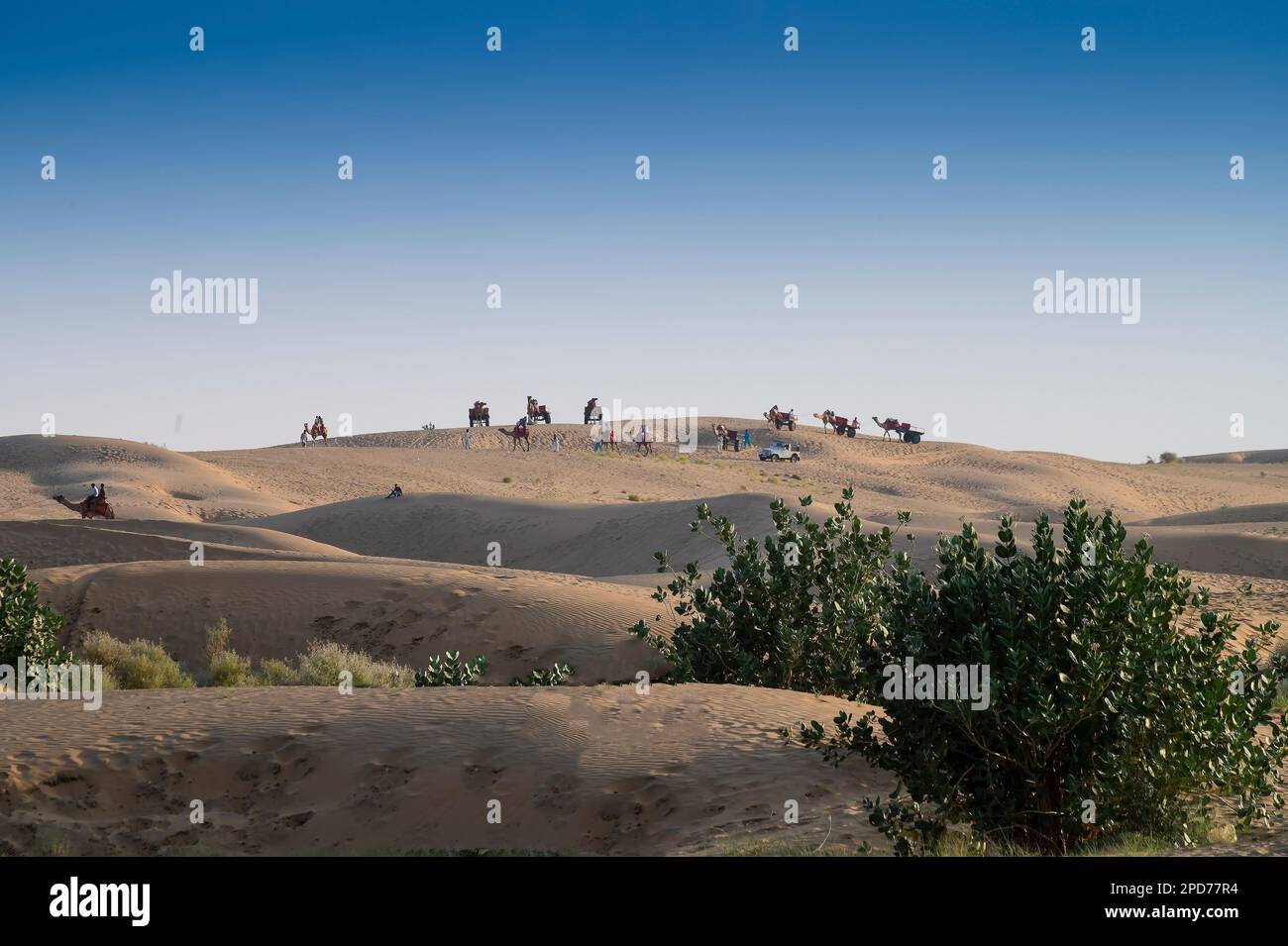 Deserto di Thar. Terra arida , dune di sabbia di Jaisalmer, Rajasthan, India. Foto Stock