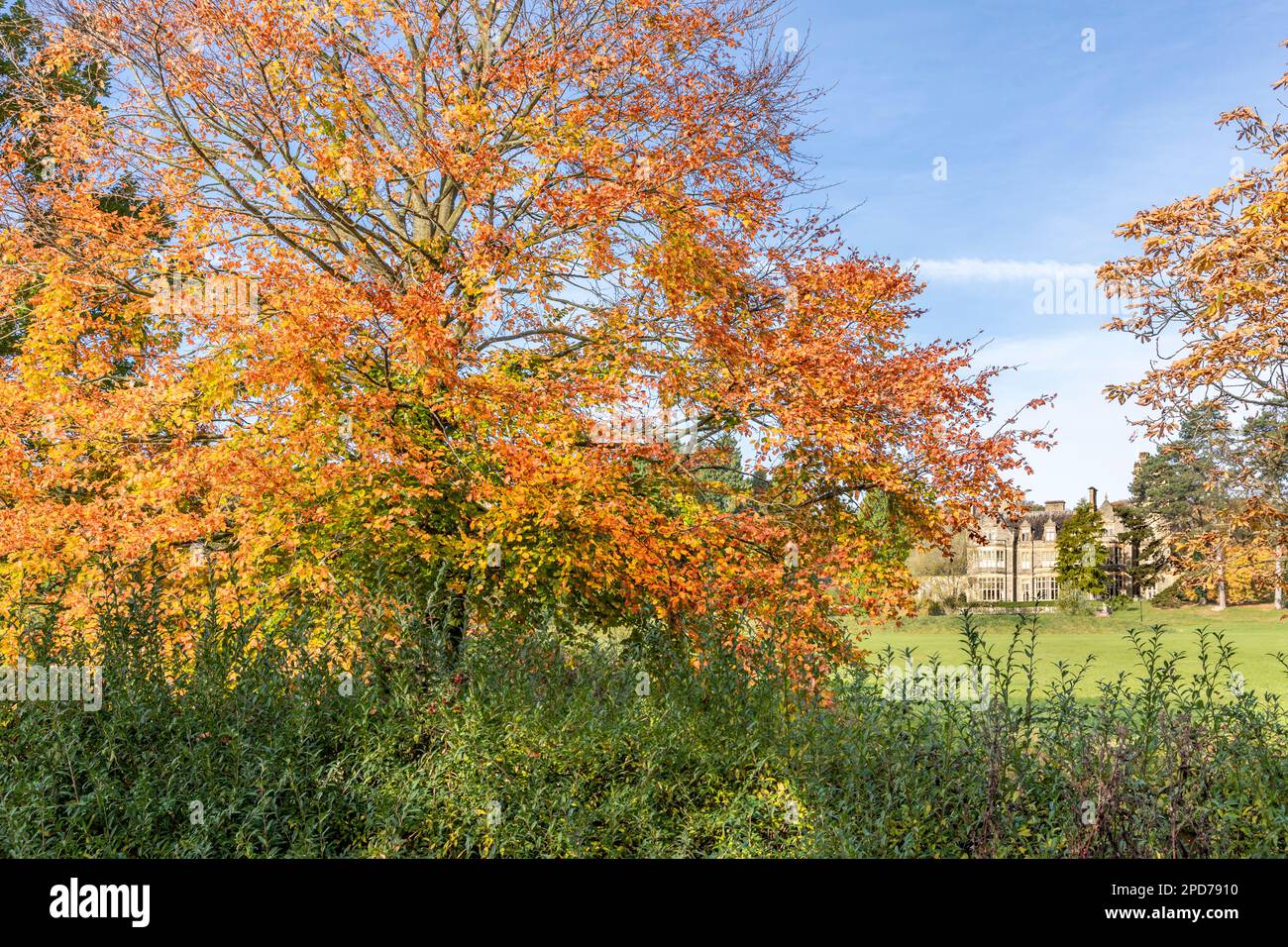 Autunno a Blaisdon Hall, Foresta di Dean, GLOUCESTERSHIRE REGNO UNITO Foto Stock