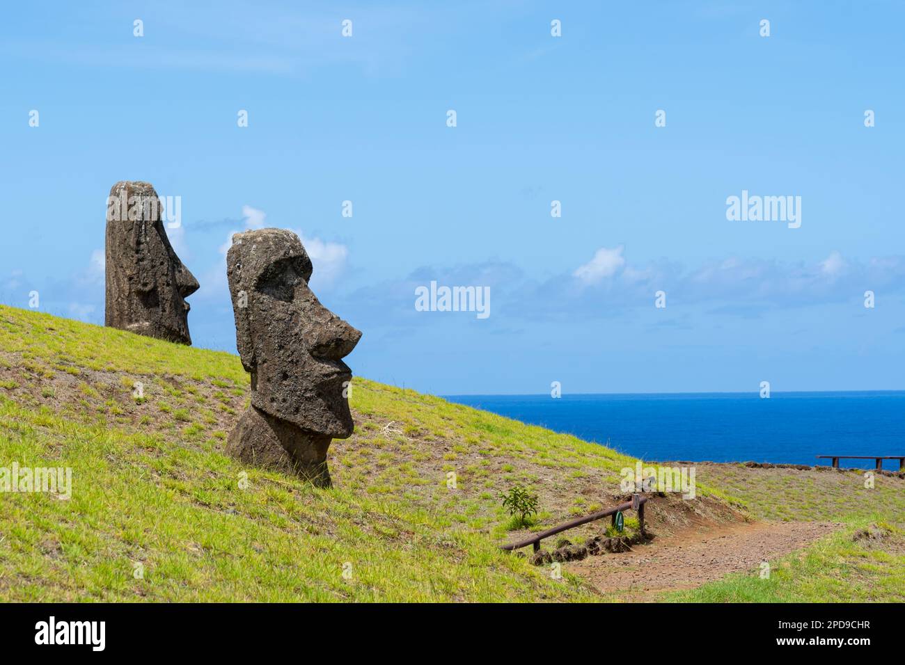Moai si dirige sul pendio di Rano Raraku sull'Isola di Pasqua (Rapa Nui), Cile. Foto Stock
