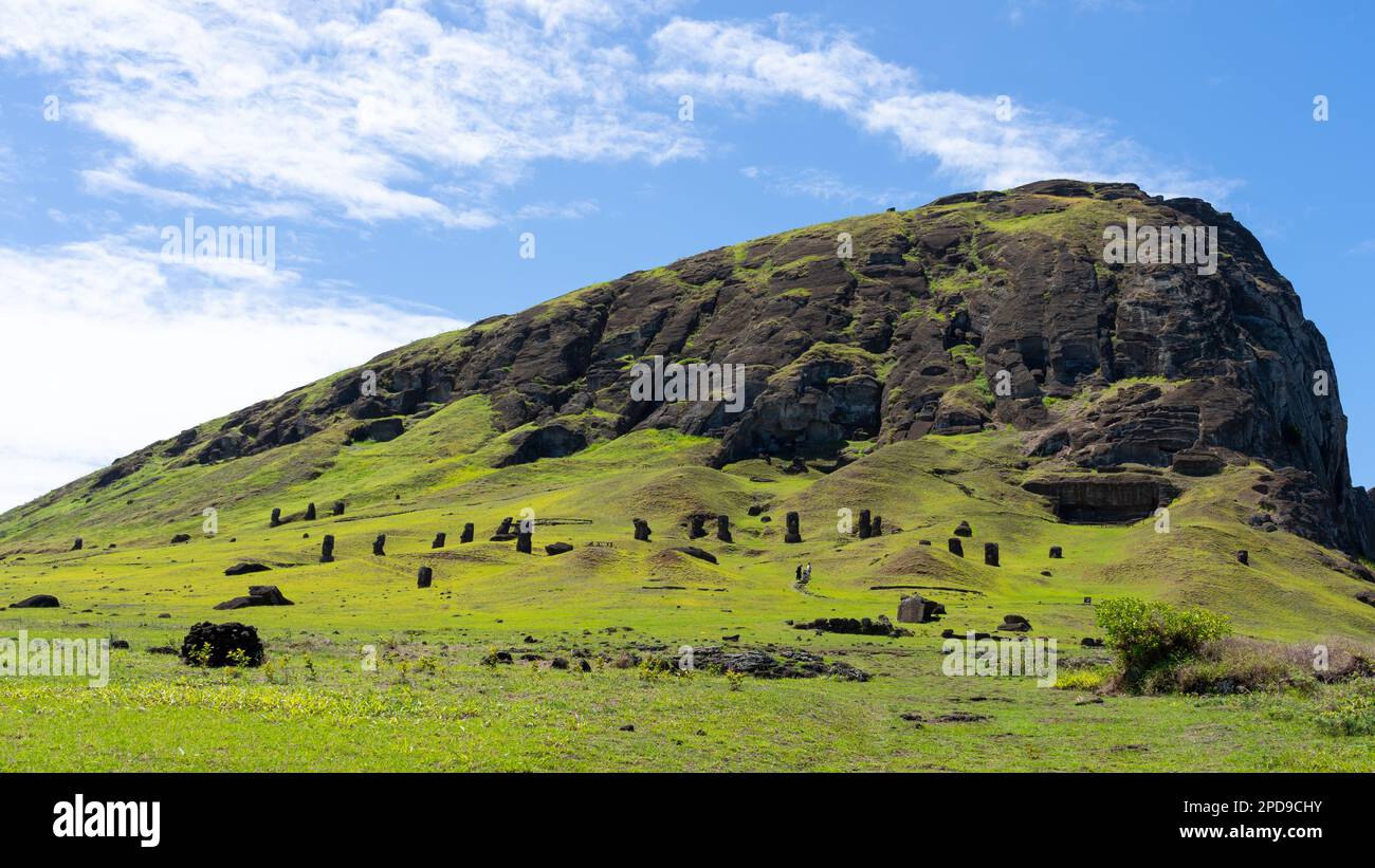 Pendenza esterna del Rano Raraku sull'Isola di Pasqua (Rapa Nui), Cile. Foto Stock