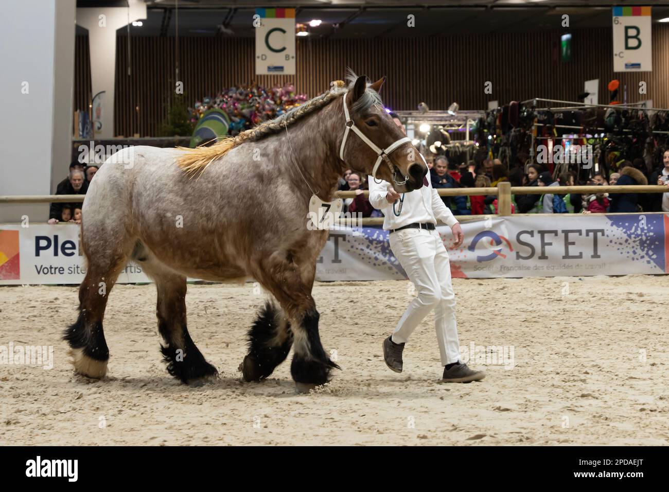 Parigi, Francia - 02 28 2023: Fiera agricola internazionale. Un cavallo trait Auxois Foto Stock