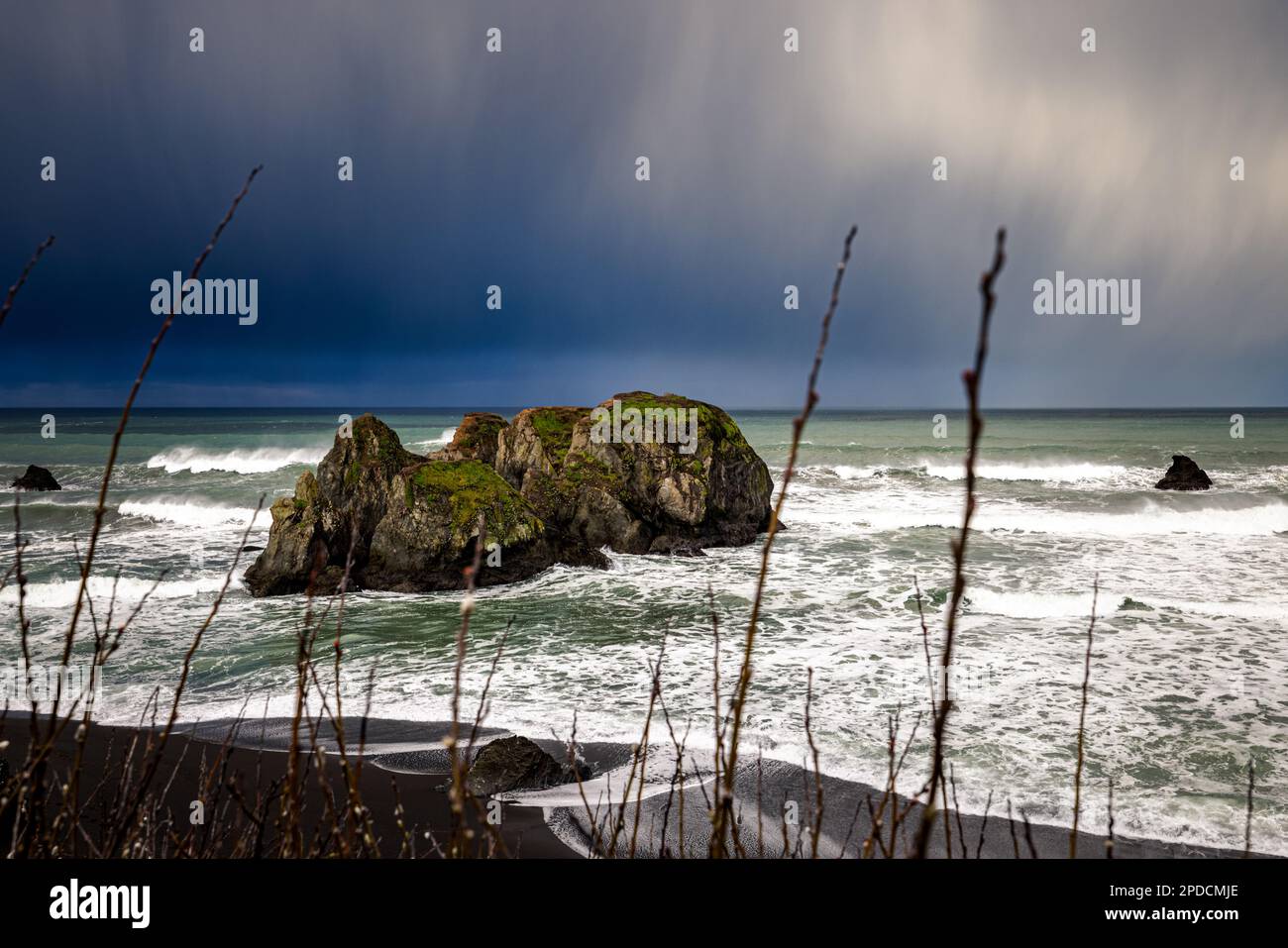 Catasta di mare in una spiaggia vicino a Westport California Foto Stock