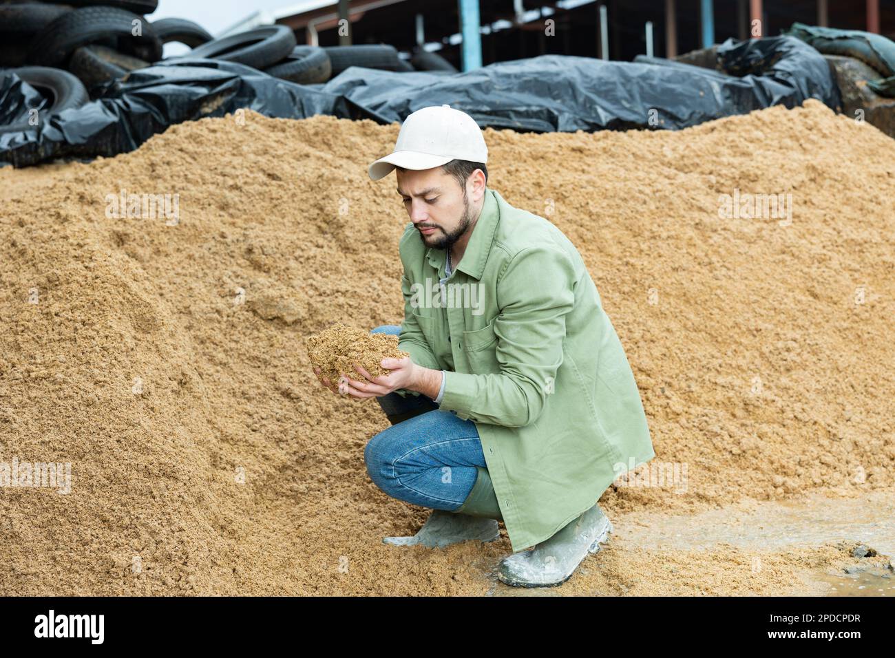 Giovane agricoltore che controlla la qualità dei birrifici ha speso i cereali in ammasso aperto Foto Stock