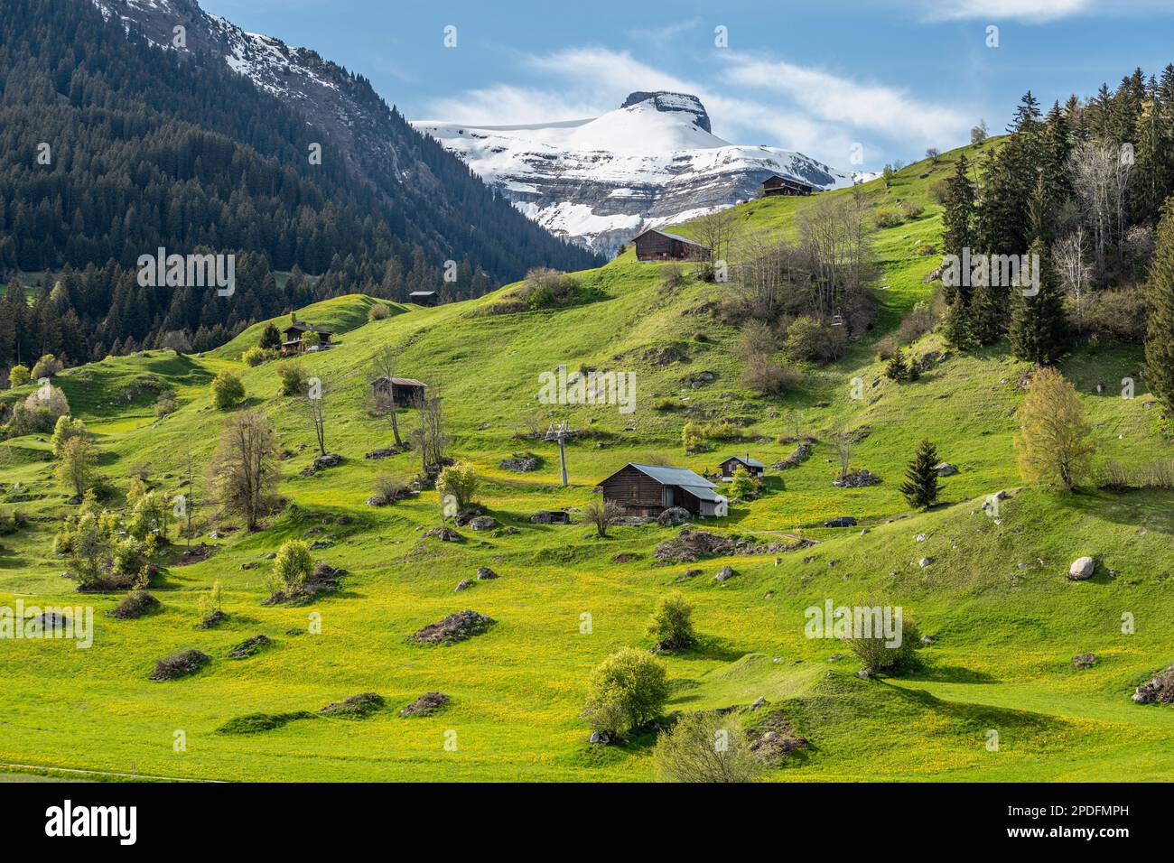 Scenario estivo a Brigels con la cima del Monte da Rudi sullo sfondo contro un cielo blu. Brigels, Svizzera. Foto Stock