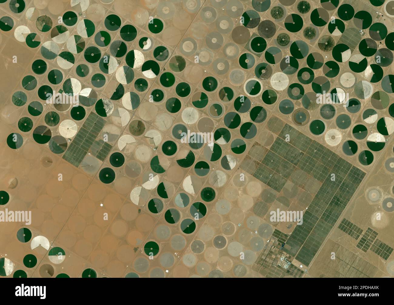 Cerchi di raccolto nel deserto, Arabia Saudita, immagine satellitare Foto Stock