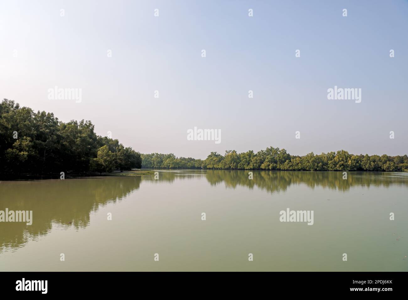 sundarbans è la più grande foresta di mangrovie del mondo. questa foto è stata scattata dal bangladesh. Foto Stock