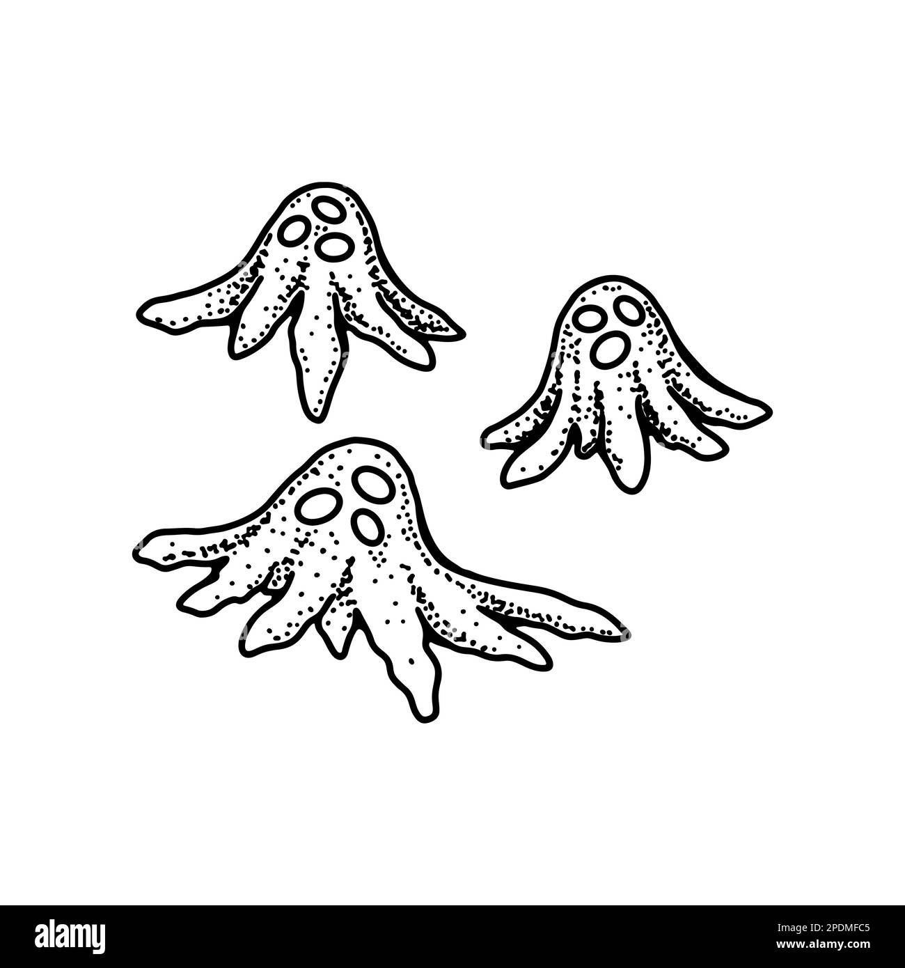 Cellule del sangue osteoclasti isolate su sfondo bianco. Illustrazione vettoriale per microbiologia scientifica disegnata a mano in stile schizzo Illustrazione Vettoriale