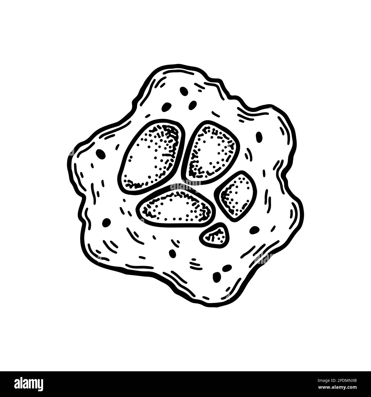 Megacariociti isolati su sfondo bianco. Illustrazione vettoriale per microbiologia scientifica disegnata a mano in stile schizzo Illustrazione Vettoriale