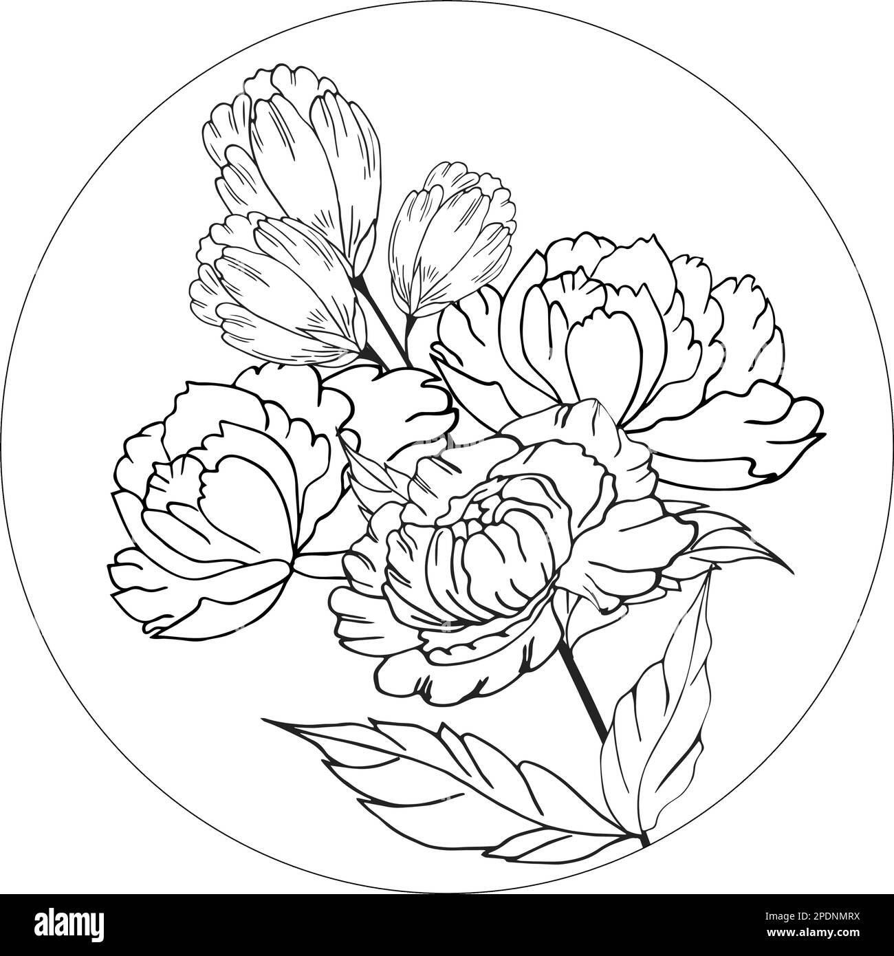 Delicato sfondo floreale da rami e germogli di fiori, composizione floreale. Disegno a mano. Per decorazioni stilizzate, inviti, biglietti, poster, Illustrazione Vettoriale