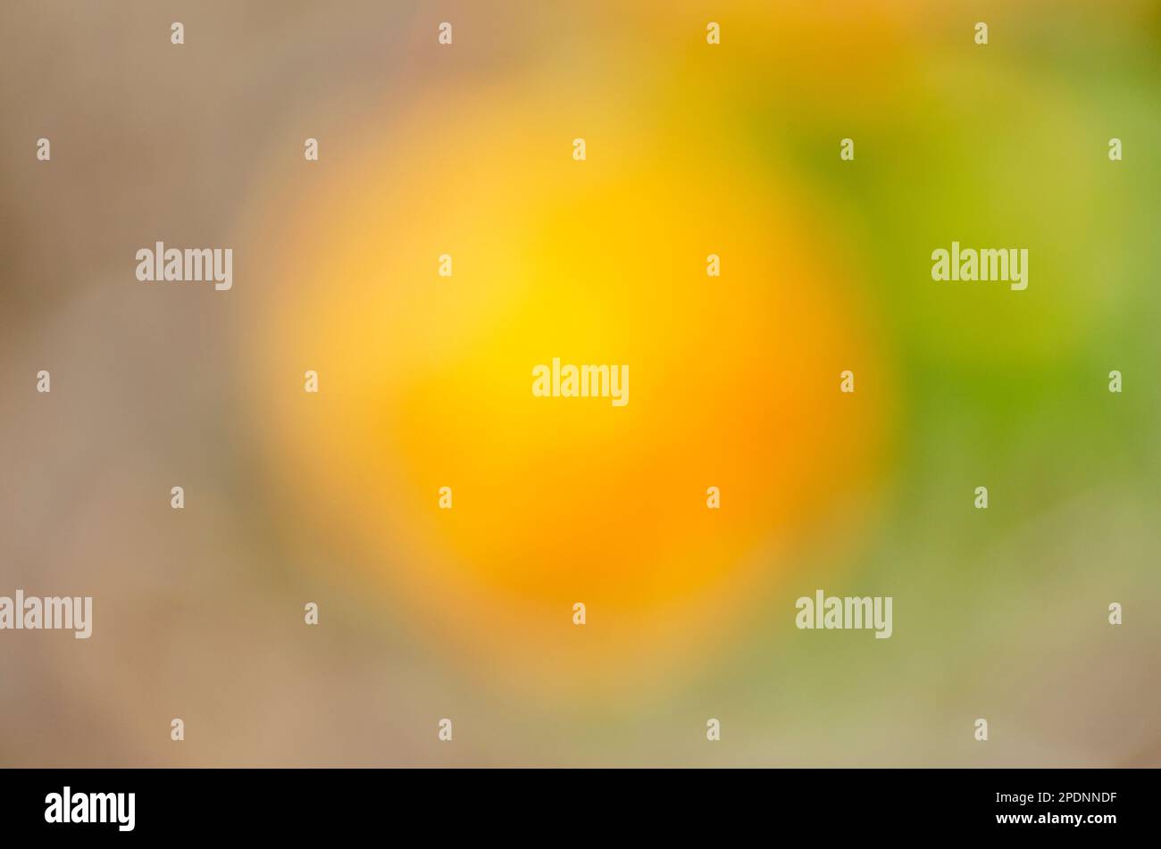 sfondo astratto giallo, arancione, verde in stile analogico Foto Stock