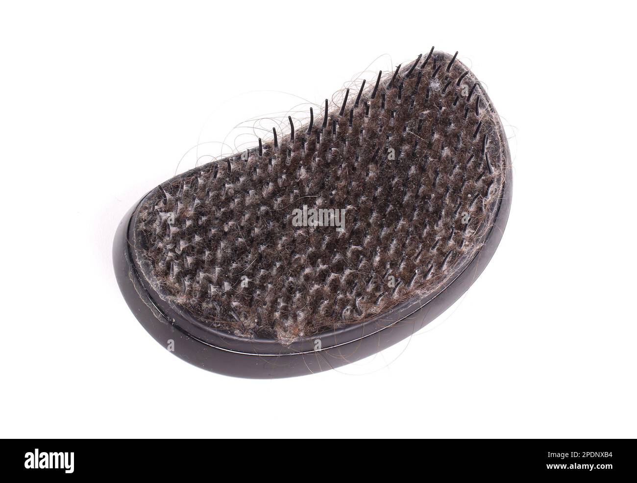 Primo piano di un pennello sporco su sfondo bianco, isolato Foto Stock