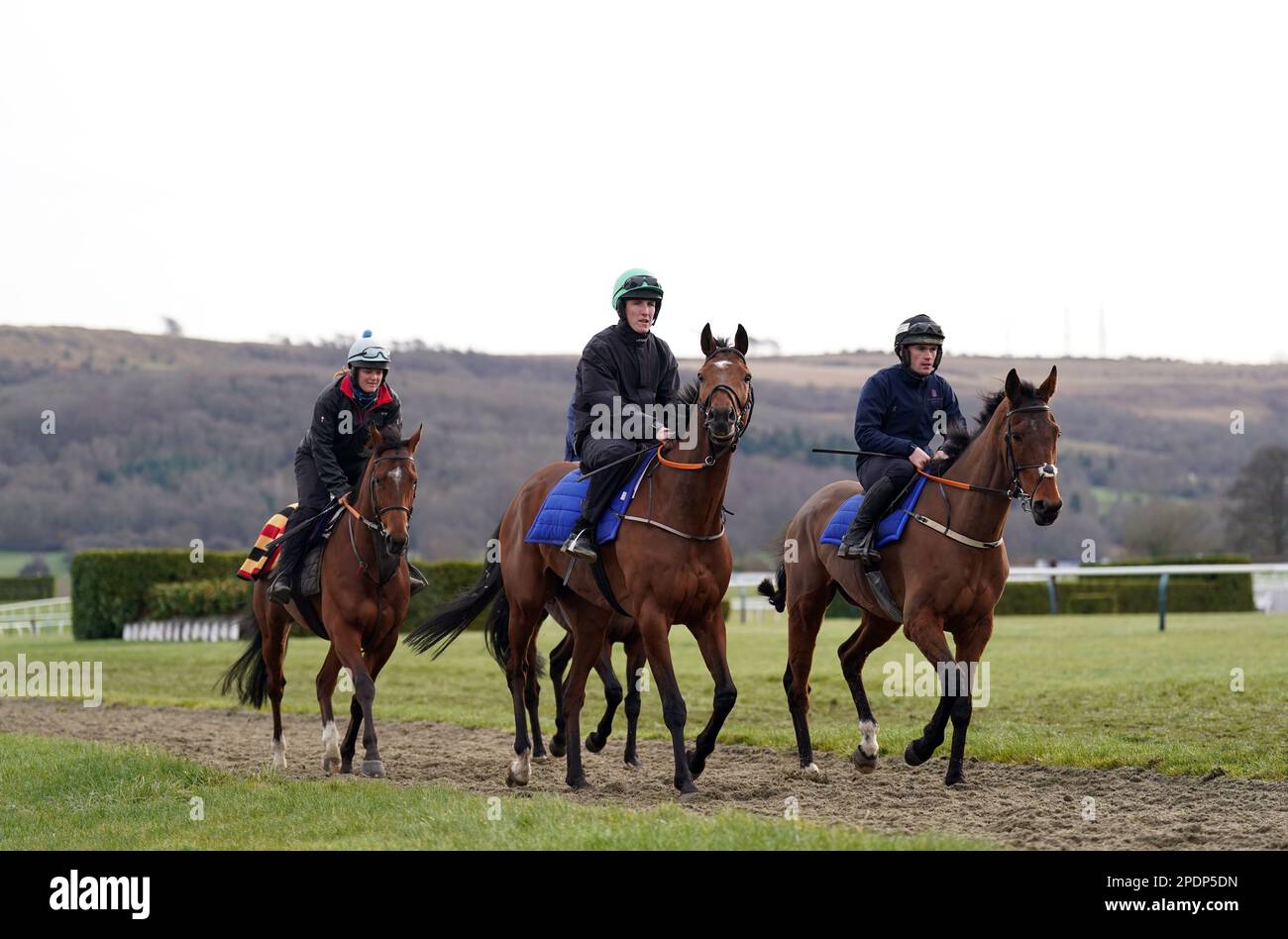 Cavalli sul galoppo prima del secondo giorno del Cheltenham Festival all'ippodromo di Cheltenham. Data immagine: Mercoledì 15 marzo 2023. Foto Stock