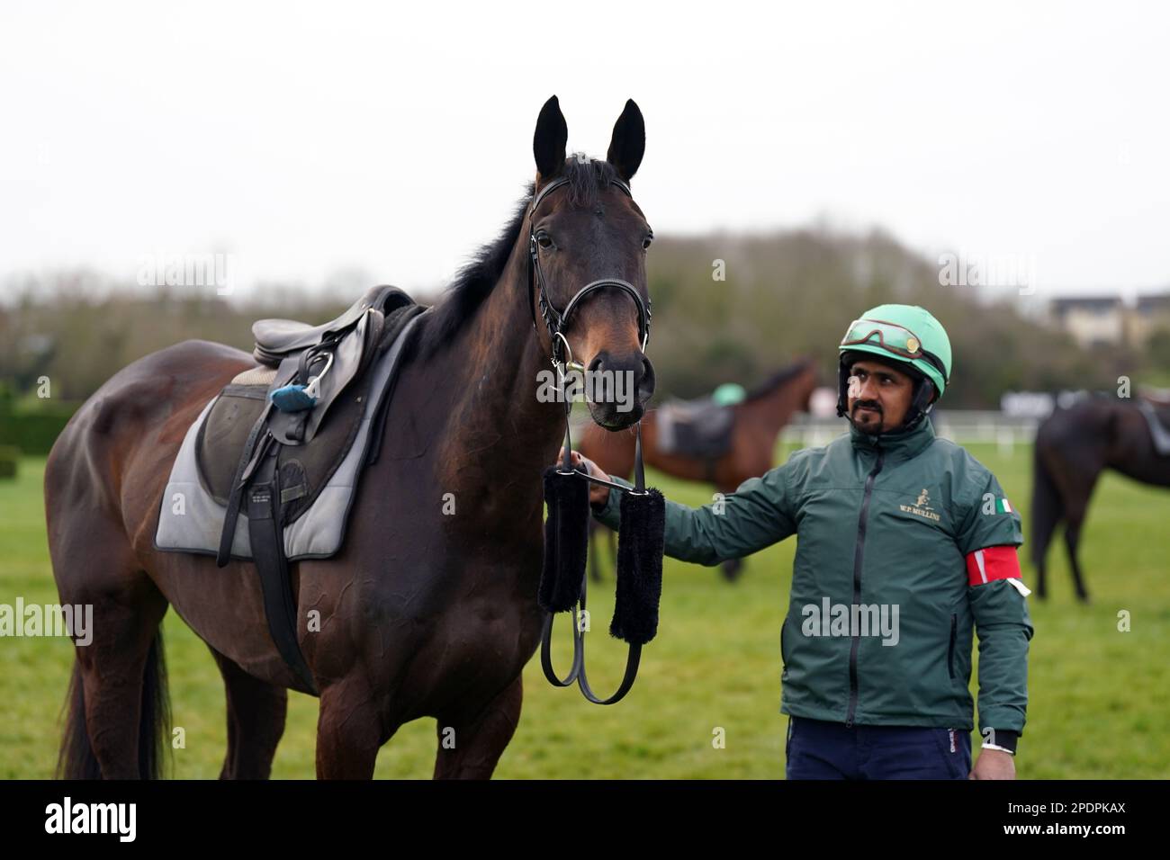 Willie Mullins allenò il cavallo, Energumene, sulle galoppe prima del secondo giorno del Cheltenham Festival all'ippodromo di Cheltenham. Data immagine: Mercoledì 15 marzo 2023. Foto Stock