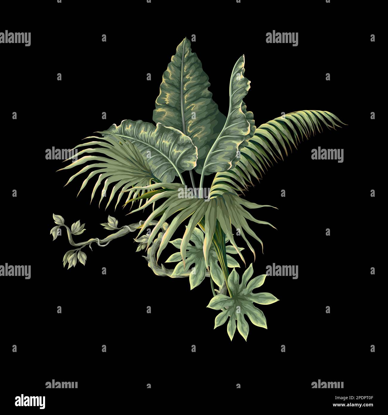 Giungla piante e foglie in stile vittoriano isolato. Vettore. Illustrazione Vettoriale