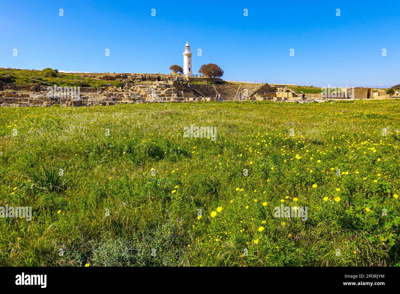 Il faro di Phaphos, con erba e fiori gialli, la zona di Pafos a Cipro in inverno, il sole d'inverno Foto Stock