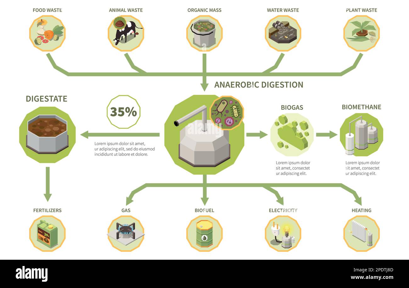 Biogas produzione di elettricità processo infografica isometrica con tipi di rifiuti organici digestione anaerobica digestioni digestivo 3D vettore illustrazione Illustrazione Vettoriale