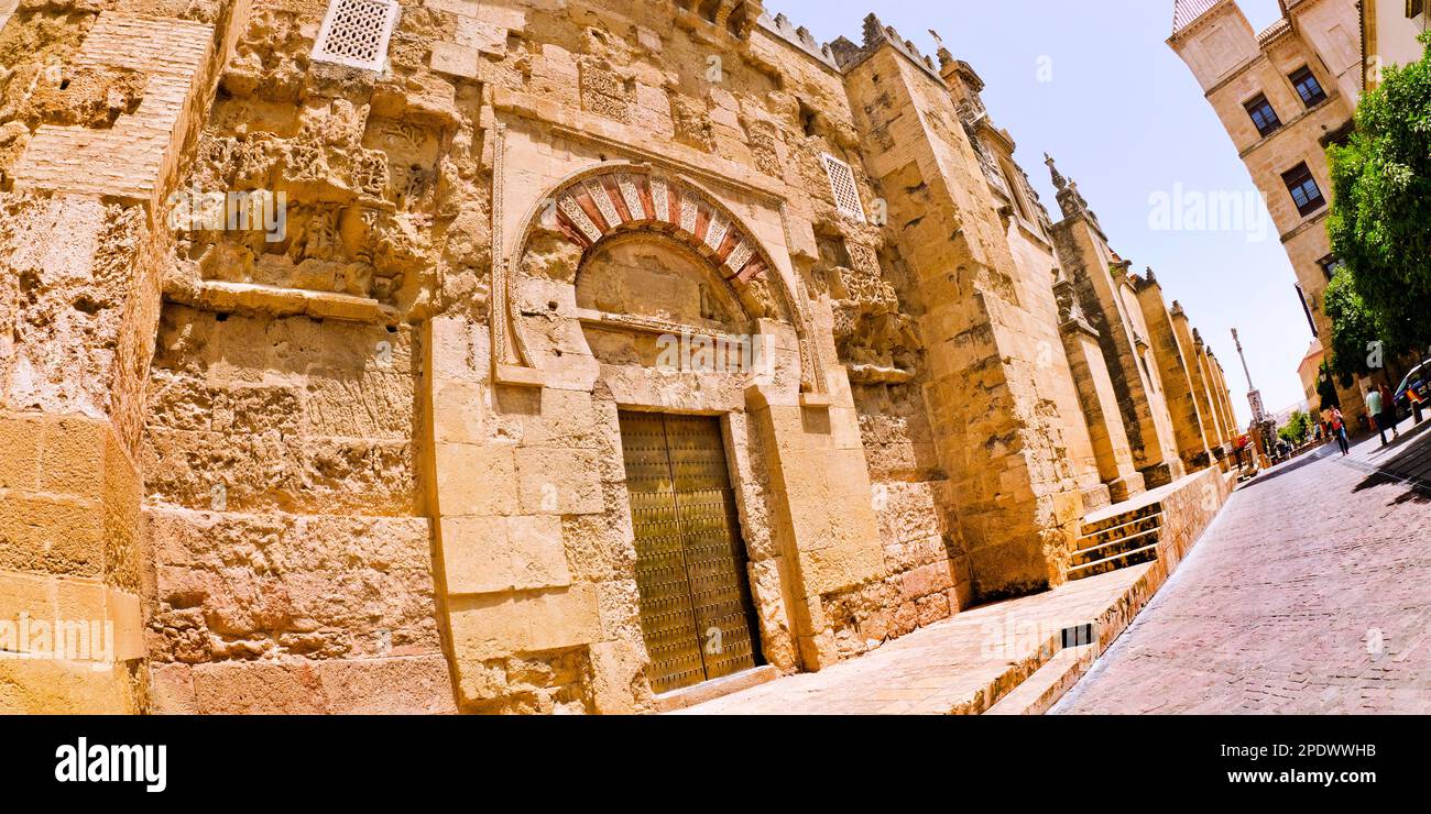 Cattedrale di nostra Signora dell'Assunzione, Grande Moschea di Córdoba, Córdoba, Andalucía, Spagna, Europa Foto Stock