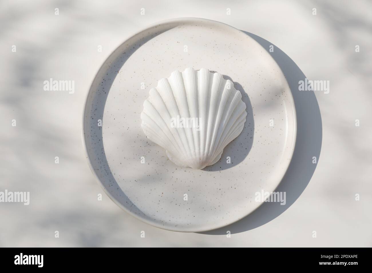 Primo piano di conchiglia di capesante giacobean su piastra di ceramica alla luce del sole, ombre lunghe. Sfondo bianco della tabella. Cena estiva, concetto marino. Nessuna gente Foto Stock