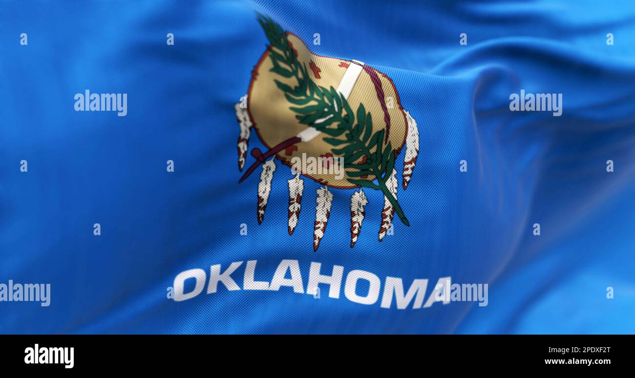 Particolare dell'onda della bandiera dello stato dell'Oklahoma. Campo blu con scudo in pelle di bufala, rametto di ulivo e pipa di pace. Tessuto ondulato. Sfondo strutturato. Foto Stock