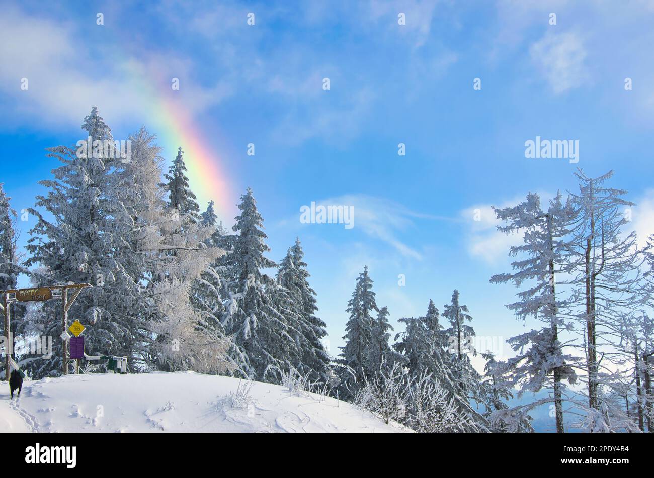 Incredibile scenario in Romania, Carpazi Montagne con arcobaleno dietro la foresta sempreverde Foto Stock