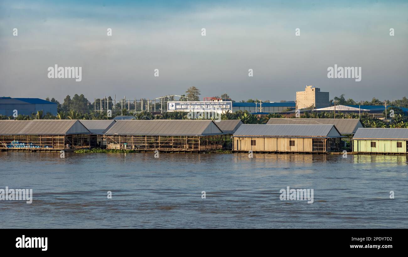 Le fattorie galleggianti del pesce fiancheggiano le rive del fiume Mekong di fronte ad una fabbrica vicino a Long Xuyen nel Delta del Mekong, Vietnam. Foto Stock