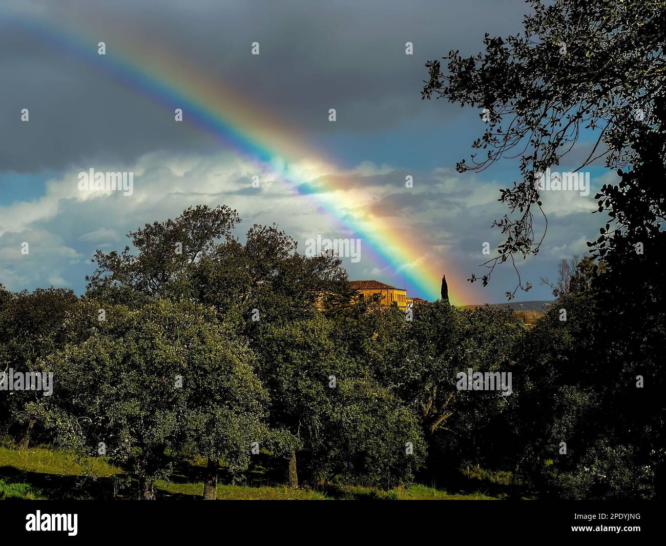 Arcobaleno su casa di campagna e foresta di alberi in giorno nuvoloso Foto Stock