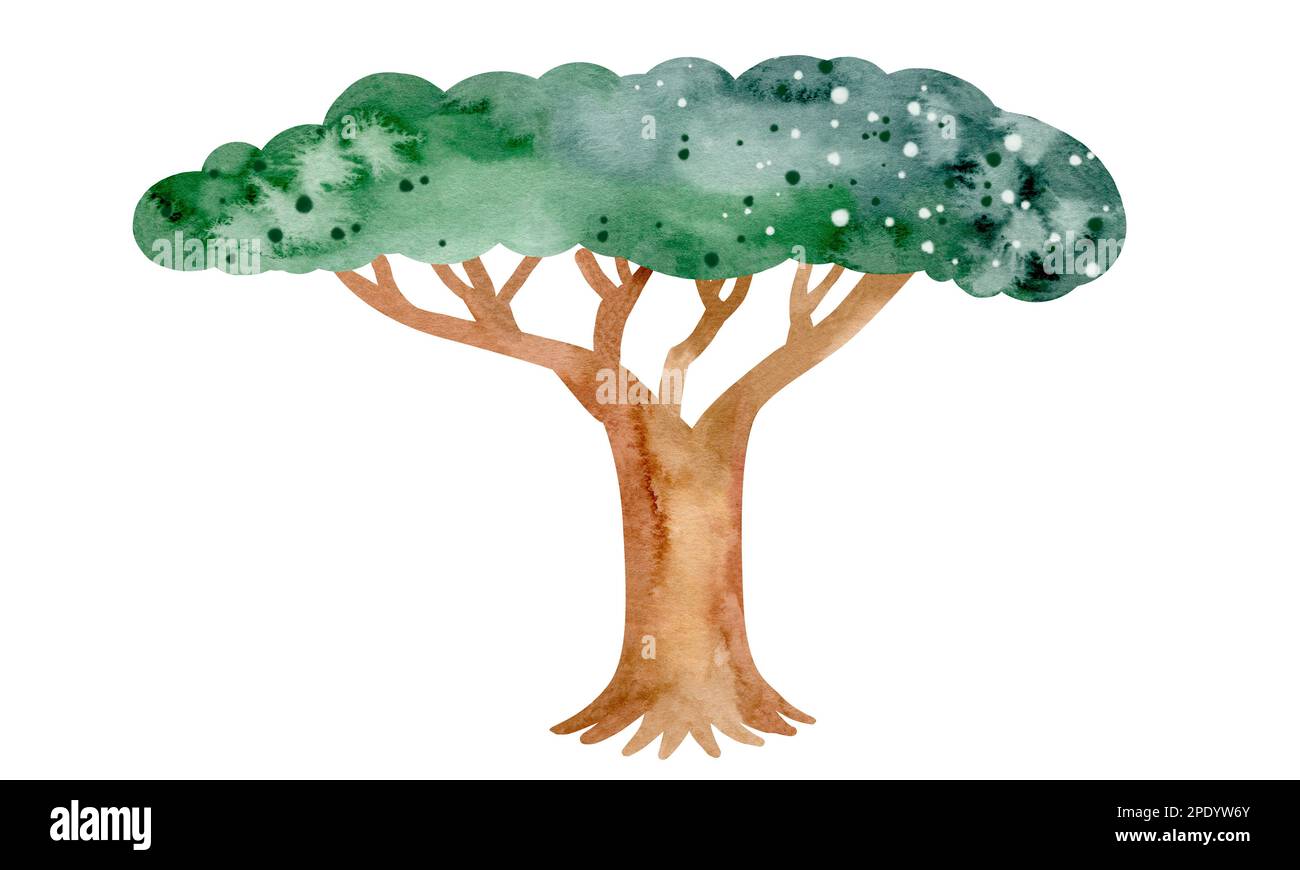 Natura africana. Insieme di elementi acquerelli di alberi, pietre, piante. Immagini colorate e belle. Oggetti isolati su sfondo bianco. Foto Stock