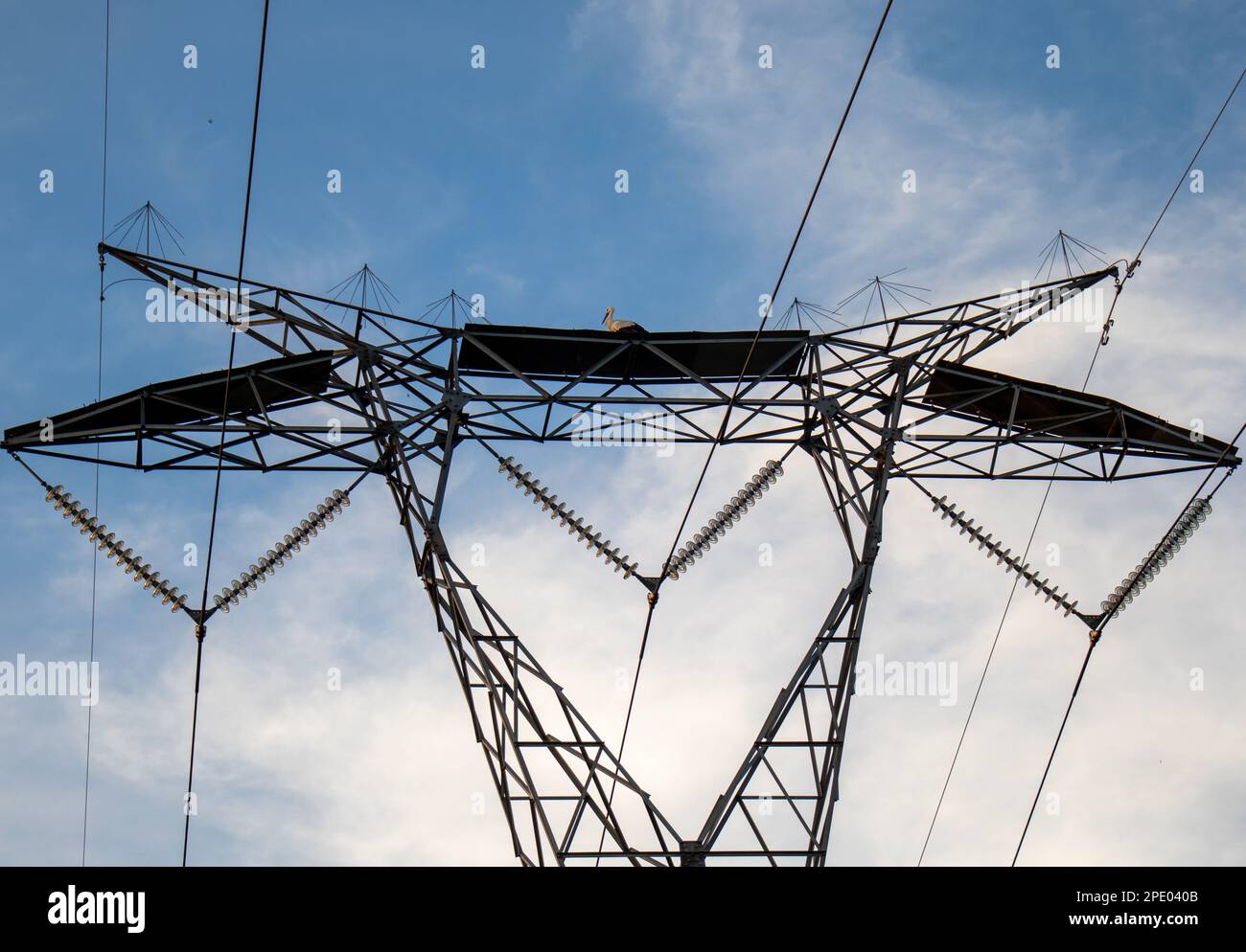Simetría en esta fotografía de una Cigüeña en el centro de una torre eléctrica. Foto Stock