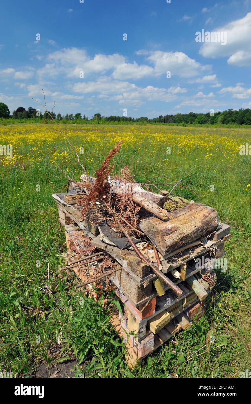 Bug hotel al Three Hagges Wood Meadow, North Yorkshire, Inghilterra, Giugno 2021 Foto Stock