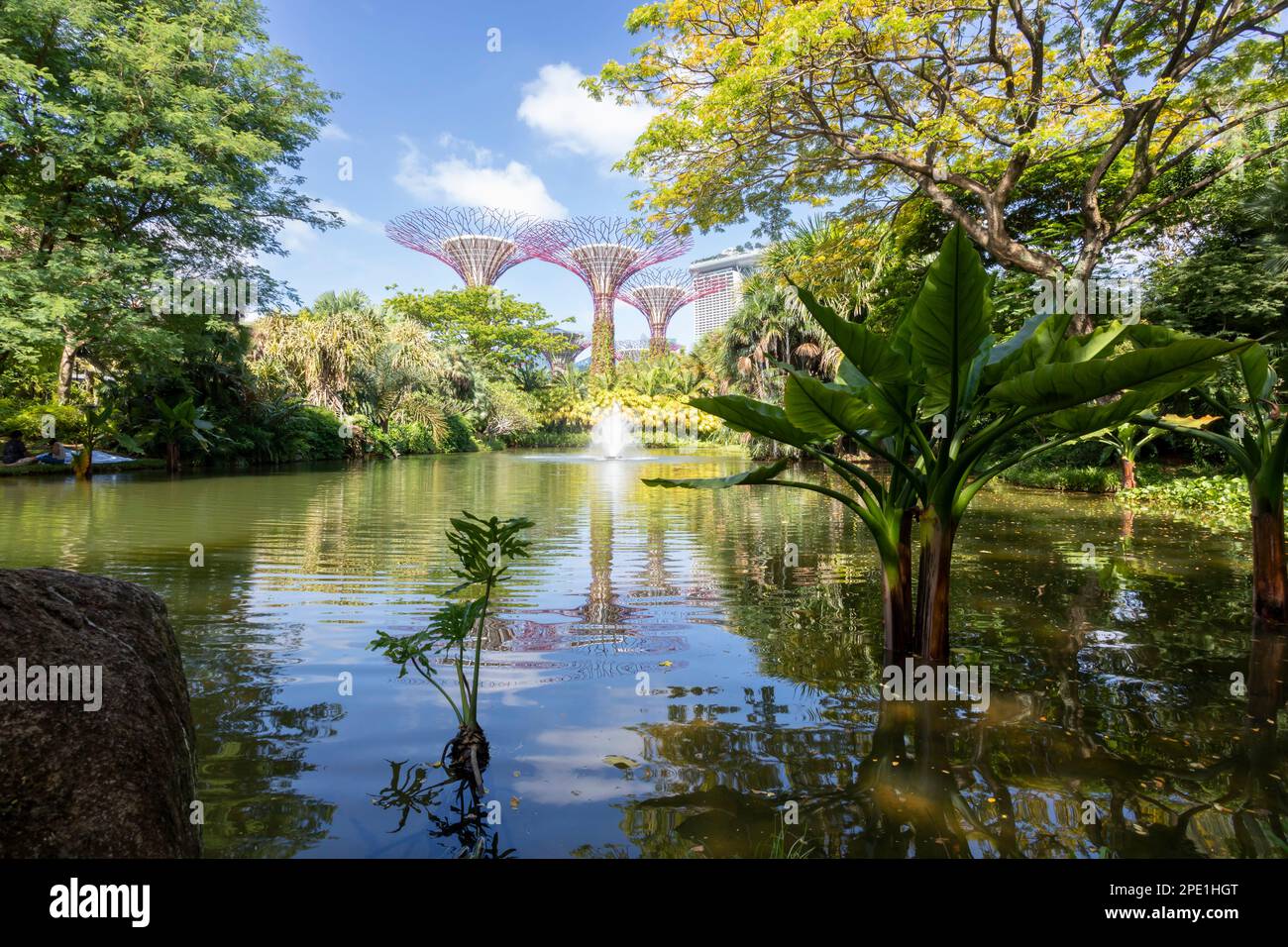 Si affaccia su un lago a Gardens by the Bay a Singapore Foto Stock