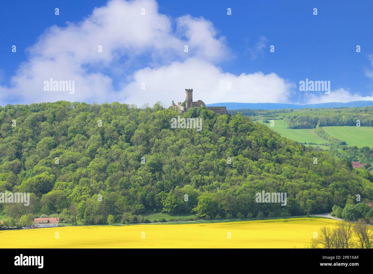 Rovine del castello Mühlburg, vista dalle rovine del castello Gleichen, Turingia - Germania Foto Stock