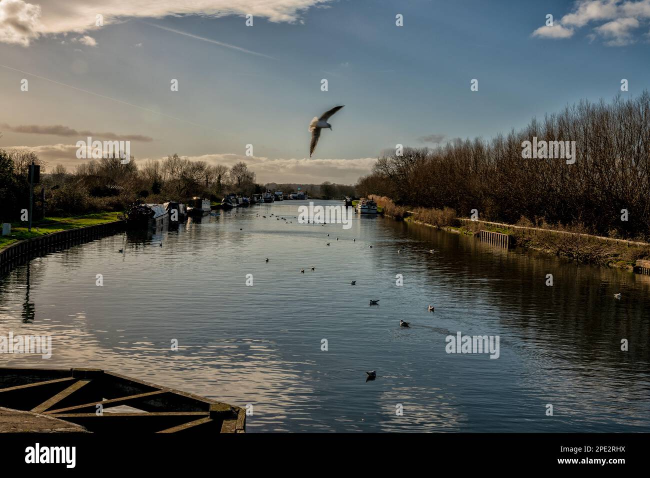 Vista del Gloucester - Sharpness Ship Canal visto da Patch Bridge, vicino a Slimbridge, Regno Unito Foto Stock